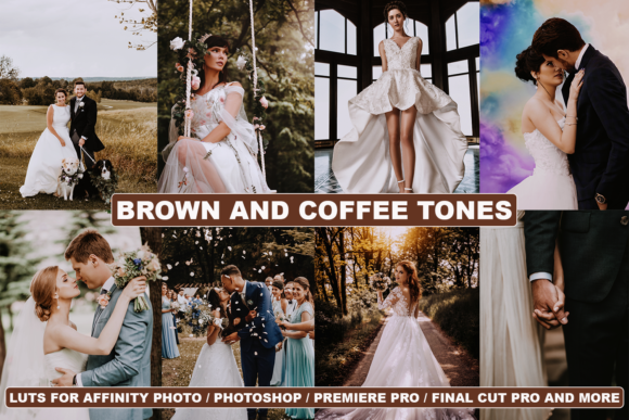 Download Film Look LUTs for Photos and Videos - Photos Collection