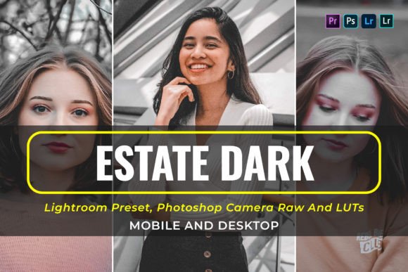 Download 10 Estate Dark Presets and Luts - Dark presets Collection